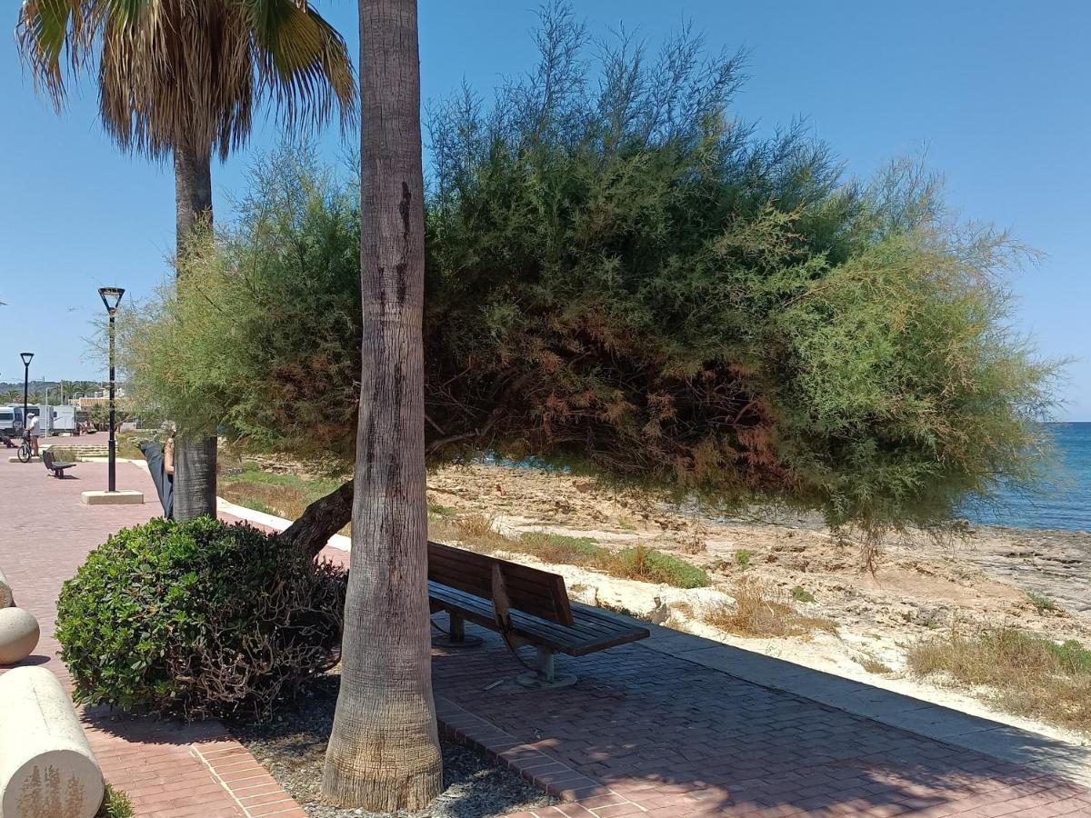 Apartamento A 100M De La Cala Blanca 哈维亚 外观 照片